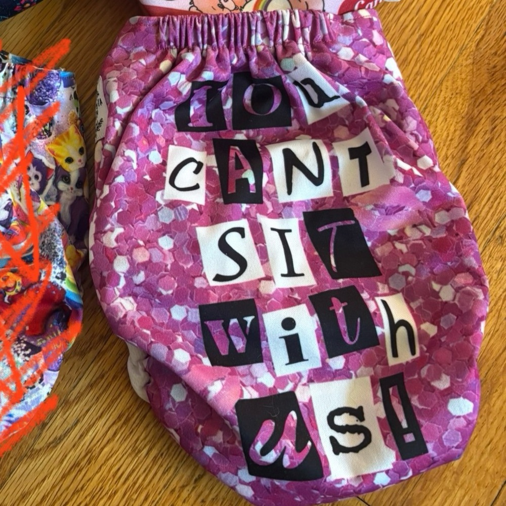 🔥5 FOR $25🔥 Vida Mia Cloth Mean Girls Pocket Diaper - "You Can't Sit With Us"